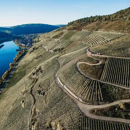 Zeltinger-hof - Des Rieslings ホテル