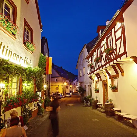 ホテル Zeltinger-hof - Des Rieslings ツェルティンゲン・ラハティグ