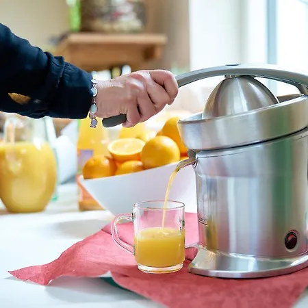 ホテル Zeltinger-hof - Des Rieslings 3*