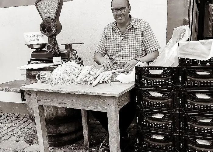 Hotell Zeltinger-hof - Des Rieslings Zeltingen-Rachtig