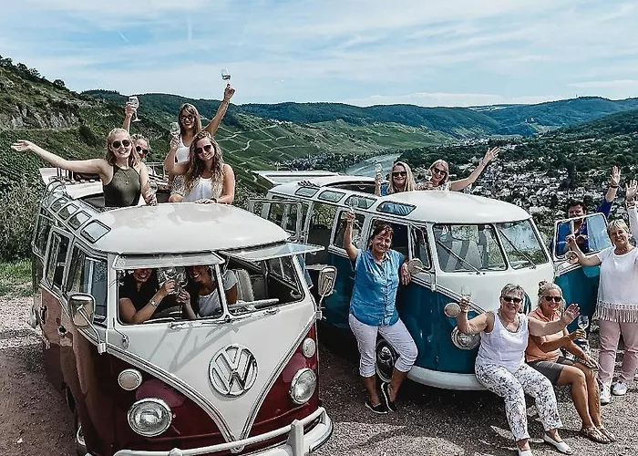 Hotell Zeltinger-hof - Des Rieslings Zeltingen-Rachtig