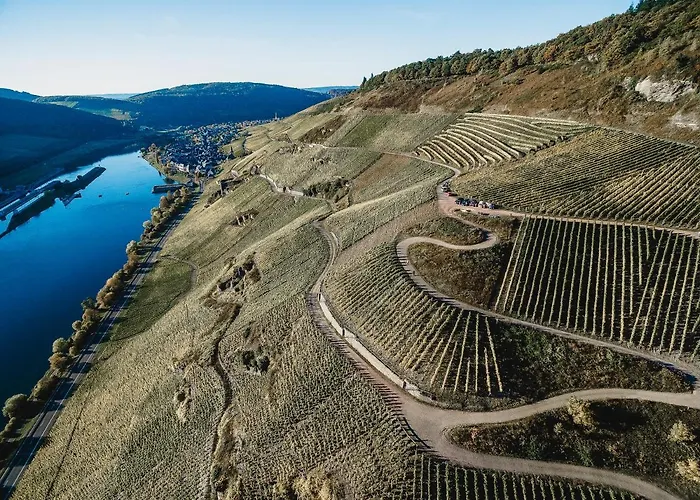 Zeltinger-hof - Des Rieslings Hotell