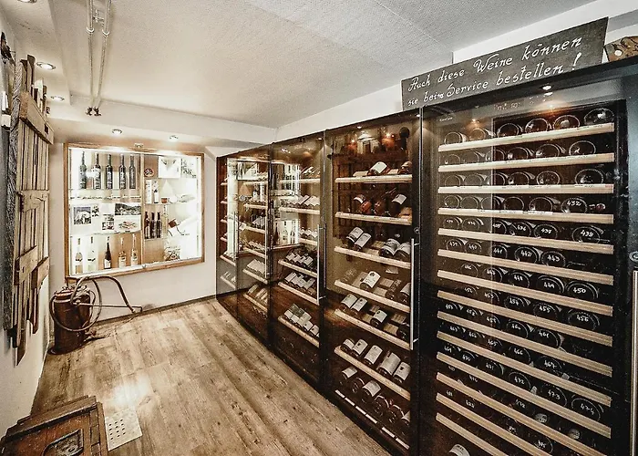 Hotell Zeltinger-hof - Des Rieslings Zeltingen-Rachtig