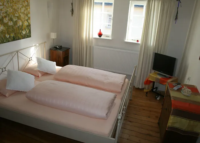 Hotell Zeltinger-hof - Des Rieslings Zeltingen-Rachtig